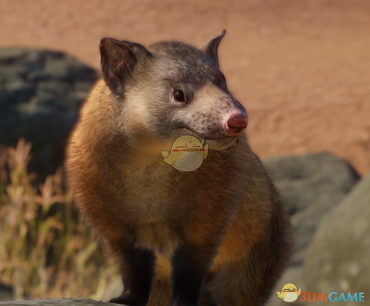 《动物园之星》新物种卡拉袋鼬MOD