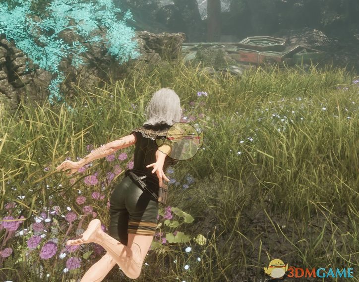 《光与影：33号远征队》吕涅的军用比基尼MOD