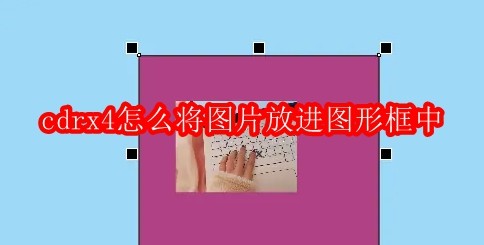 cdrx4怎么将图片放进图形框中