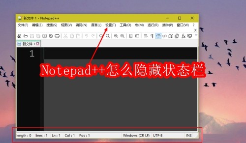 Notepad++怎么隐藏状态栏