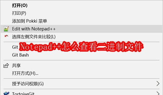 Notepad++怎么查看二进制文件
