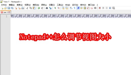 Notepad++怎么调节视图大小