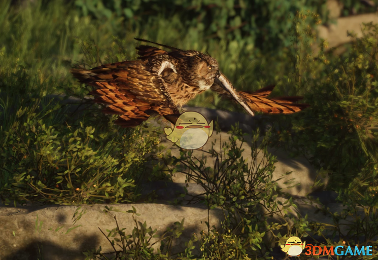 《动物园之星》新物种伊比利亚半岛雕鸮MOD