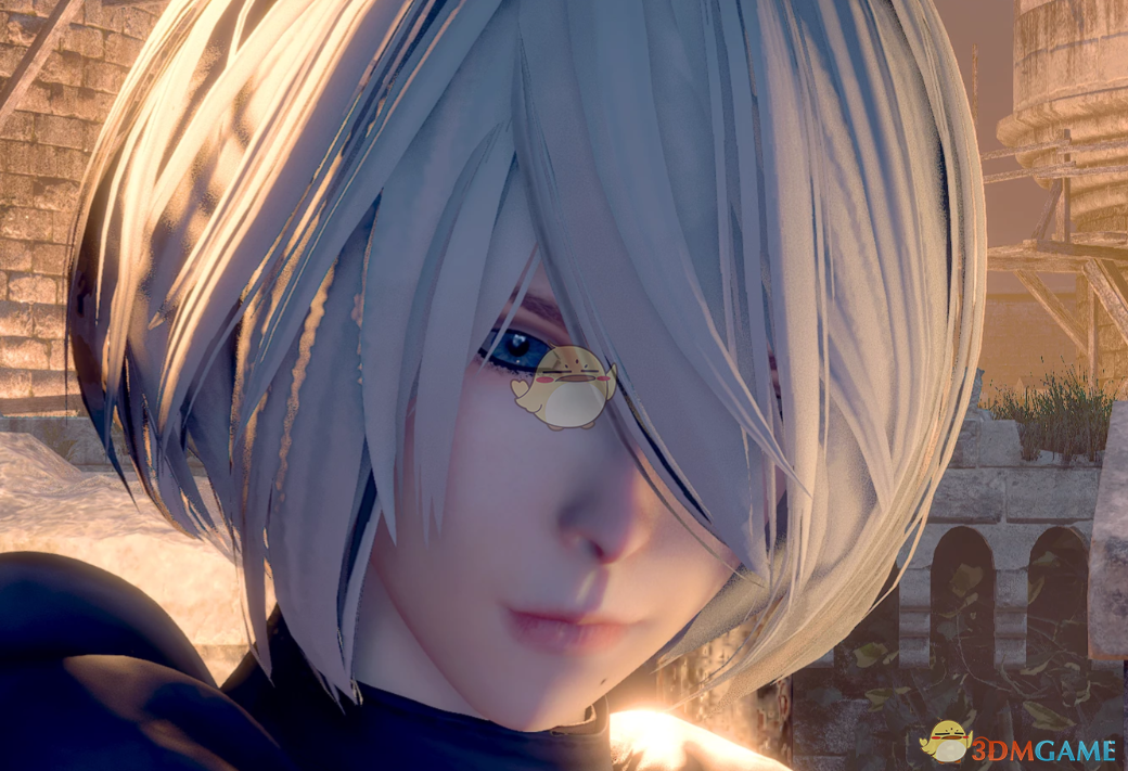 《生化危机4：重制版》性感尼尔机械纪元2B替换艾达MOD