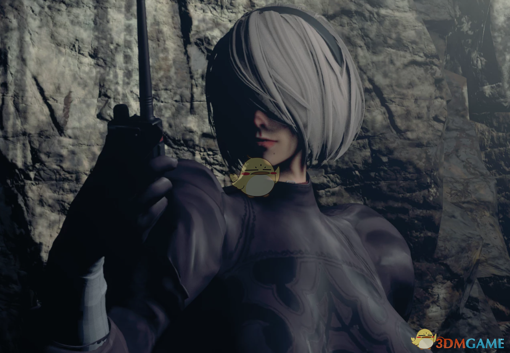 《生化危机4：重制版》性感尼尔机械纪元2B替换艾达MOD