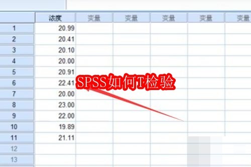 SPSS如何T检验