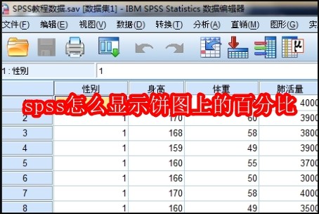 spss怎么显示饼图上的百分比