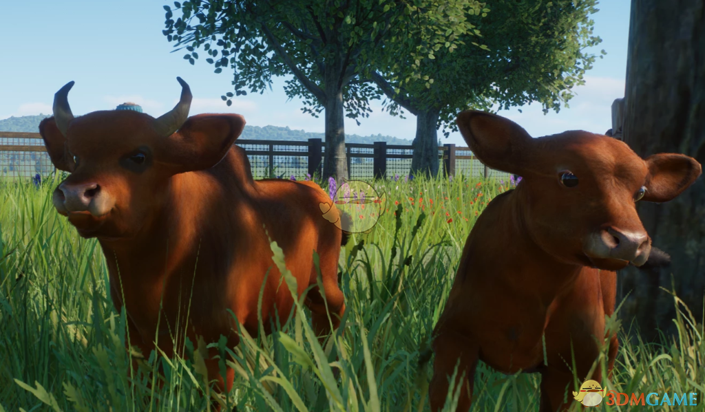 《动物园之星》新物种安得拉邦牛MOD