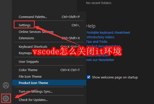 vscode怎么关闭it环境