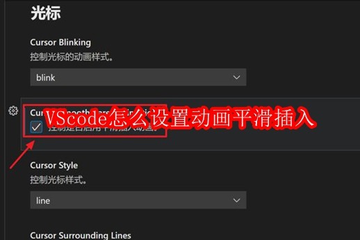 VScode怎么设置动画平滑插入