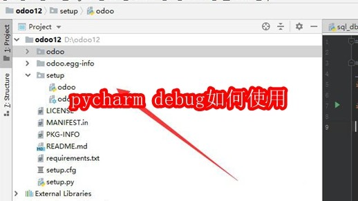 pycharm进行debug调试的教程