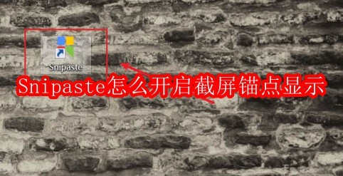 Snipaste怎么开启截屏锚点显示