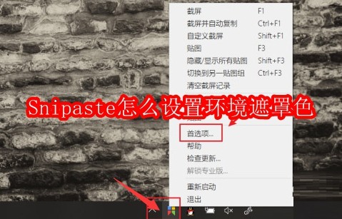 Snipaste怎么设置环境遮罩色