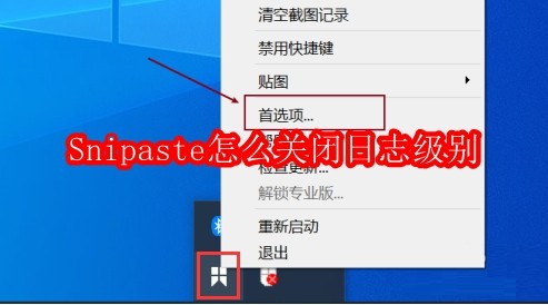 Snipaste怎么关闭日志级别