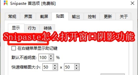 Snipaste怎么打开窗口阴影功能