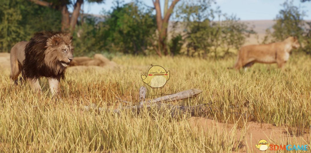 《动物园之星》新物种开普狮MOD