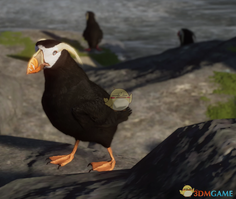 《动物园之星》新物种簇羽海鹦MOD