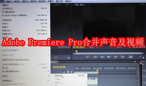 Adobe Premiere Pro CS6如何合并声音及视频