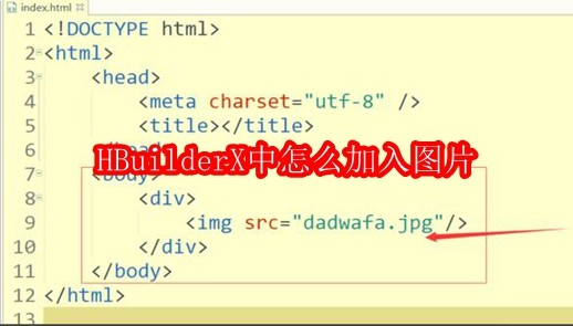HBuilderX中怎么加入图片