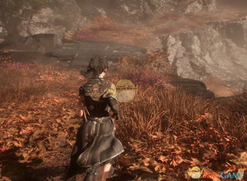 《光与影：33号远征队》吕涅更好的布料物理MOD