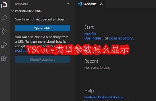 VSCode类型参数怎么显示