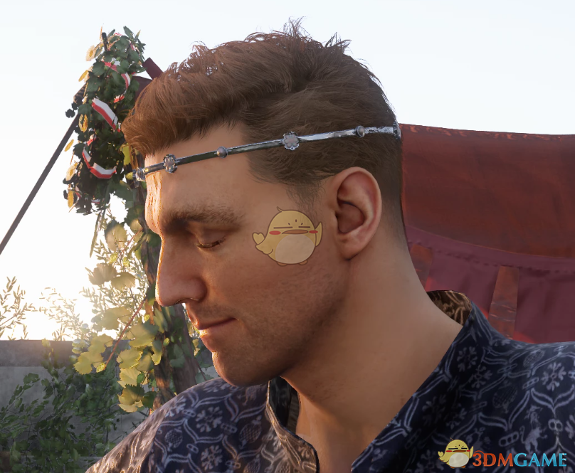 《天国：拯救2》亨利更多的头饰MOD