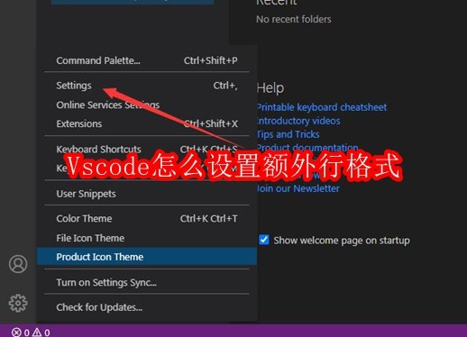 Vscode怎么设置额外行格式
