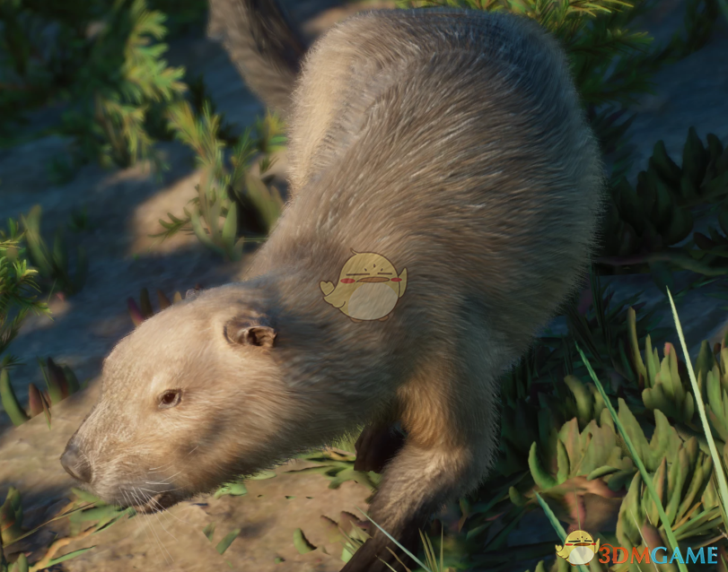 《动物园之星》新物种纹齿兽MOD