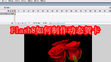 Macromedia Flash 8如何制作动态贺卡