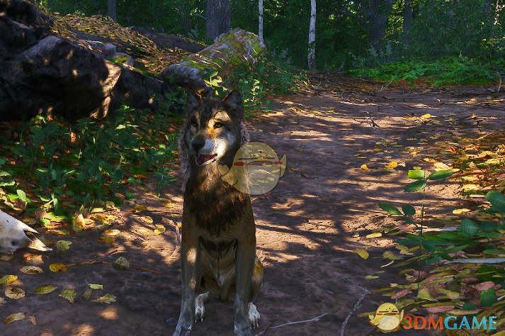 《天国：拯救2》友好的野生动物MOD