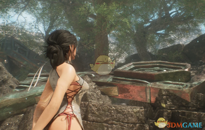 《光与影：33号远征队》吕涅的剑星国色杜丹旗袍MOD