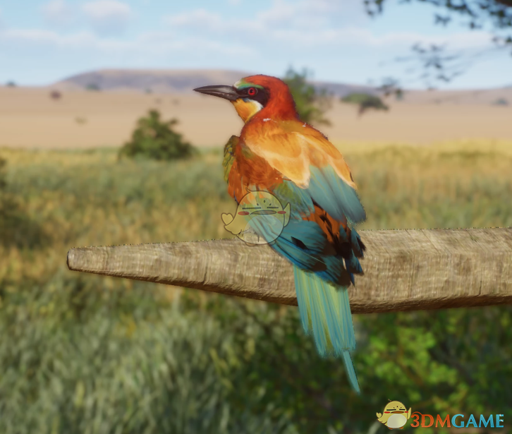 《动物园之星》新物种黄喉蜂虎MOD