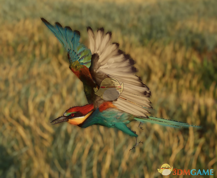 《动物园之星》新物种黄喉蜂虎MOD