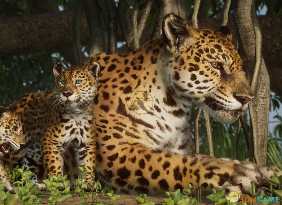 《动物园之星》新物种巴西美洲豹MOD
