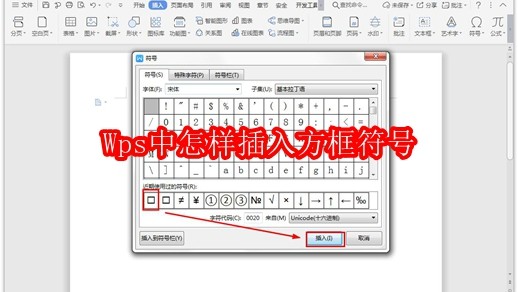 Wps中怎样插入方框符号