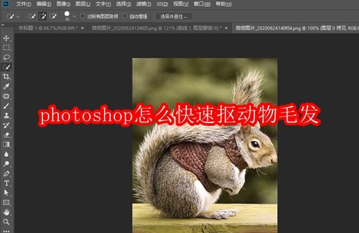 photoshop怎么快速抠动物毛发