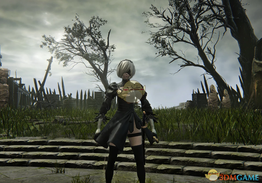 《艾尔登法环：黑夜君临》尼尔机械纪元2B外观MOD