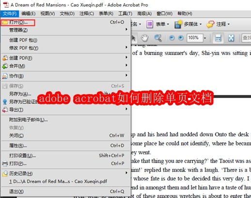 adobe acrobat如何删除单页文档