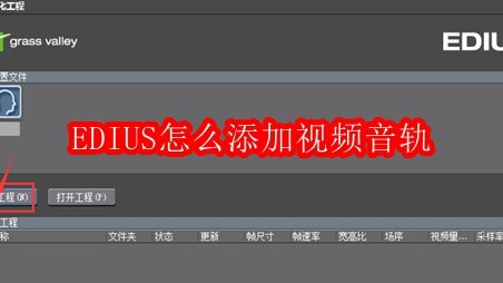 EDIUS怎么添加视频音轨