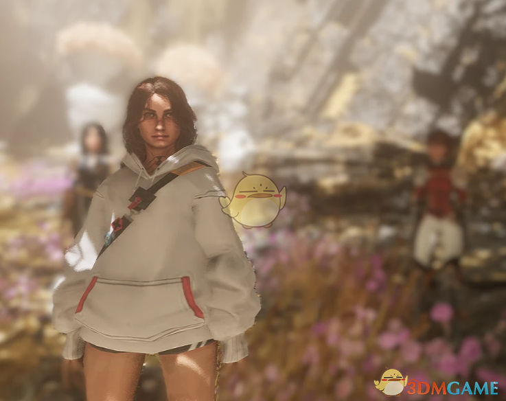 《光与影：33号远征队》熙艾尔的休闲卫衣装MOD