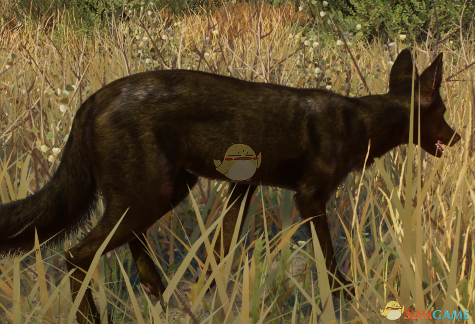 《动物园之星》新物种侧纹胡狼MOD