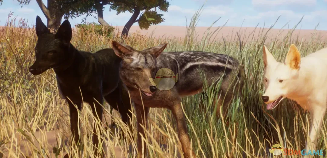 《动物园之星》新物种侧纹胡狼MOD