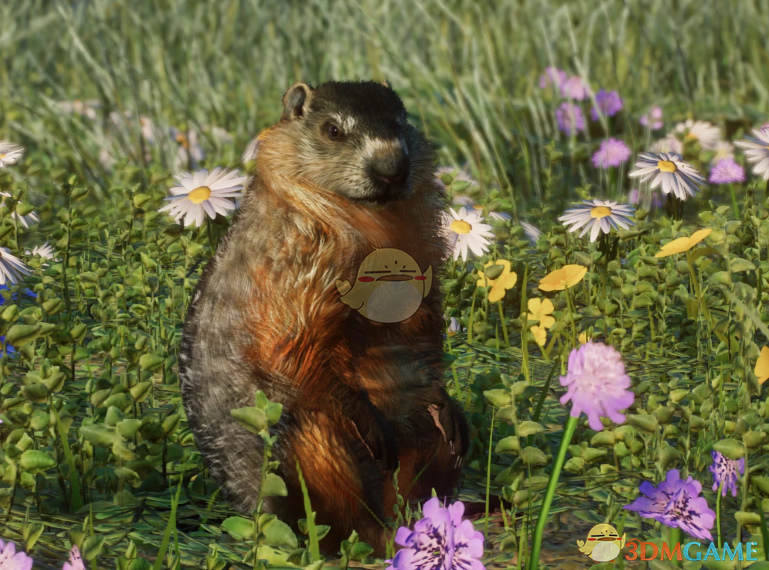《动物园之星》新物种旱獭MOD