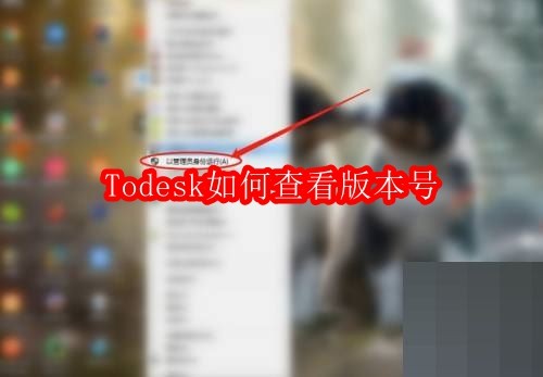 Todesk如何查看版本号