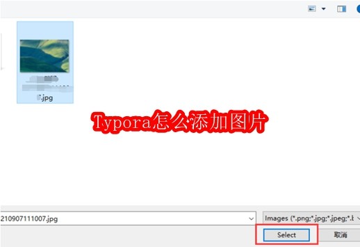 Typora怎么添加图片