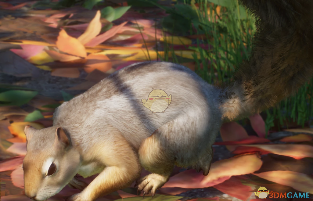 《动物园之星》新物种中东松鼠MOD