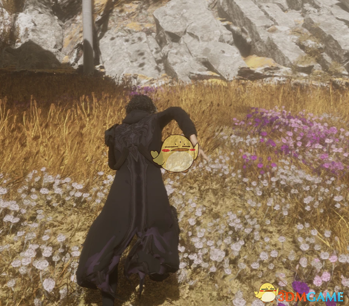 《光与影：33号远征队》维尔索的黑色风衣MOD