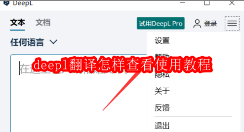 deepl翻译怎样查看使用教程