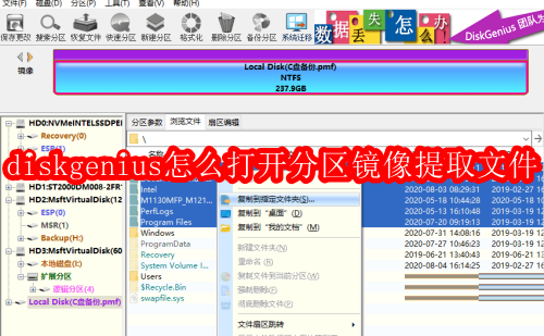 diskgenius怎么打开分区镜像提取文件