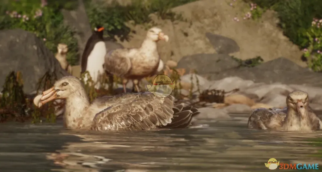 《动物园之星》新物种南方大海燕MOD